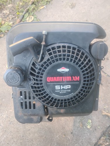 Briggsand stratton 5hp - briggsand, quantom
